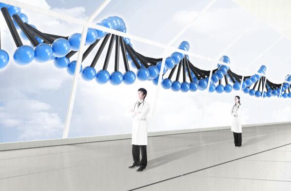 廣東凈化工程可以分為哪幾類(lèi)